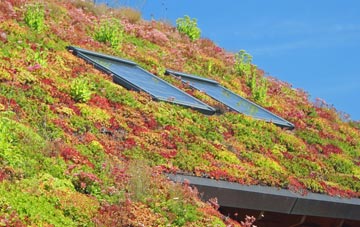 Hutton Rudby living roof systems
