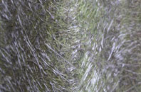 Hutton Rudby fibreglass roof work